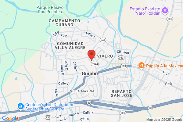 CAGUAS MILITARY ACADEMY INC