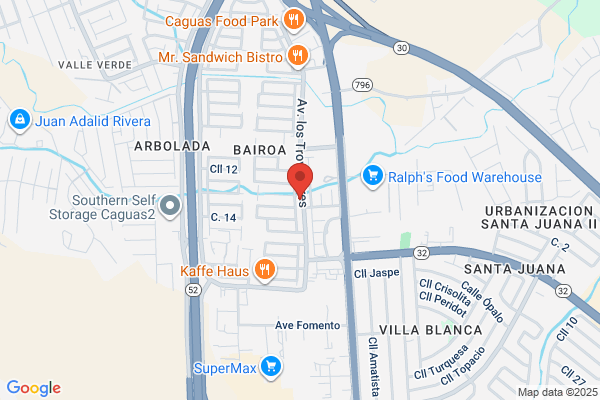 OCCIDENTAL SECURITY CONSULTANT