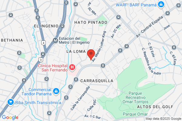 INSTITUTO PANAMERICANO