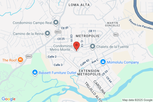 ASSN COND METRO MONTE