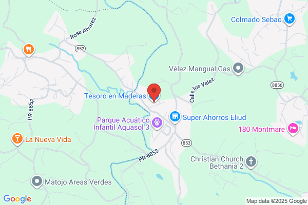 TOPES DEL TESORO