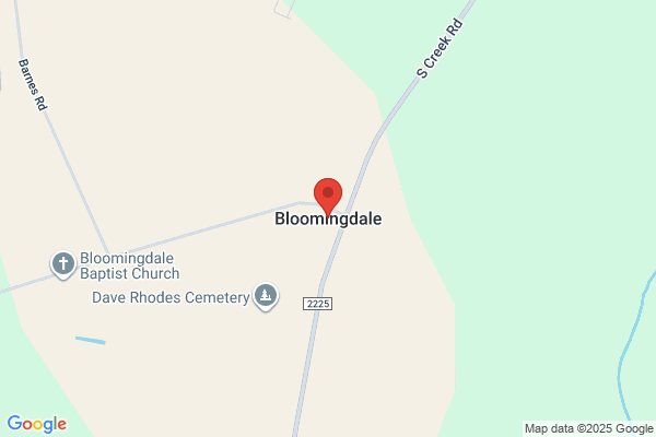 BLOOMINGDALES