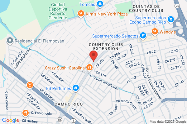 Auto Loan Title Loans Puerto Rico