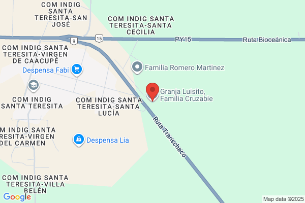 GRANJA LUISITO INC
