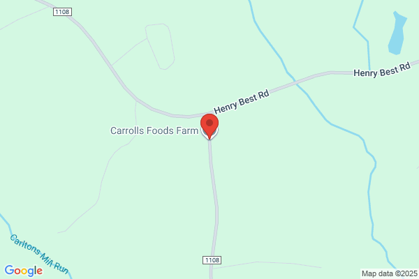 CAROL FOOD INC