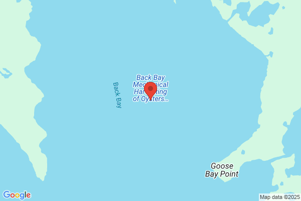 BACK BAY