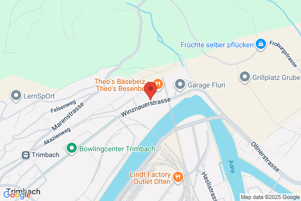 BRUNI TRAVEL AGENCY