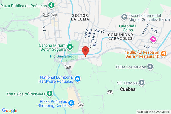 FIGUEROA TRAVEL AGENCY