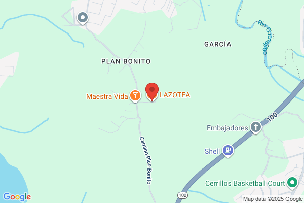 LA TAZA DE ORO