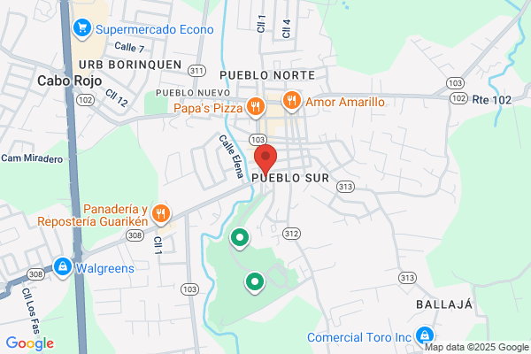 CABO ROJO PRO DRY CLEANER INC