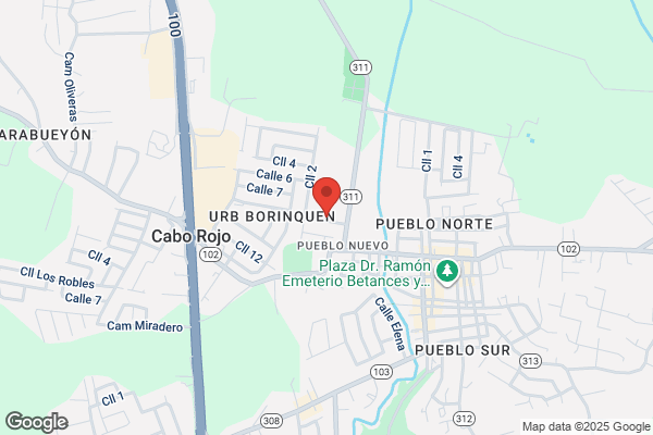 BORINQUEN REALTY