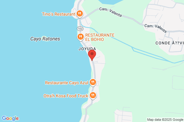 RESTAURANT BRISAS DE JOYUDA