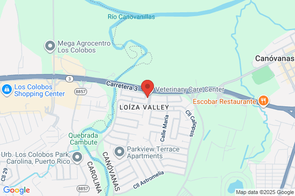 LOIZA VALLEY FOOD MARKET