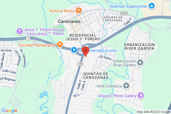 CANOVANAS PEDIATRIC CTR