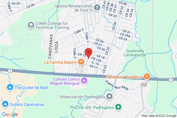 COLEGIO VILLAS DE LOIZA INC