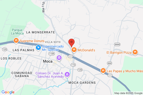 PRO IDEAS DE PUERTO RICO