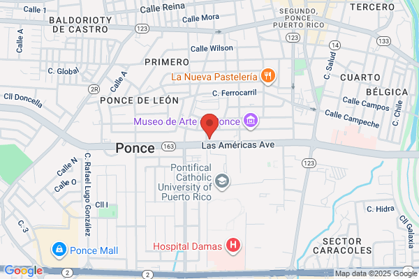 ACADEMIA MEDICA DEL SUR