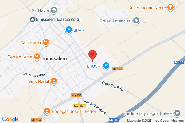 BINICO AUTO BODY EXPRESS