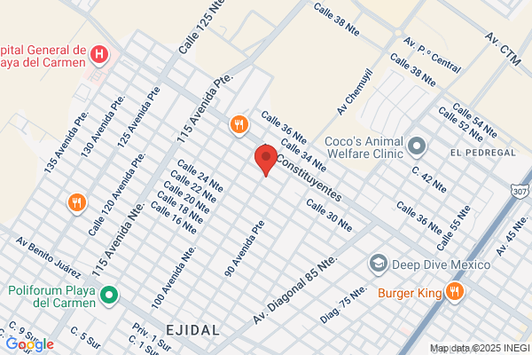 CENTRO DEL HOJALATERO