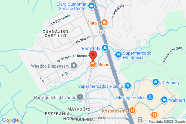 MAYAGUEZ AUTO PAINTS
