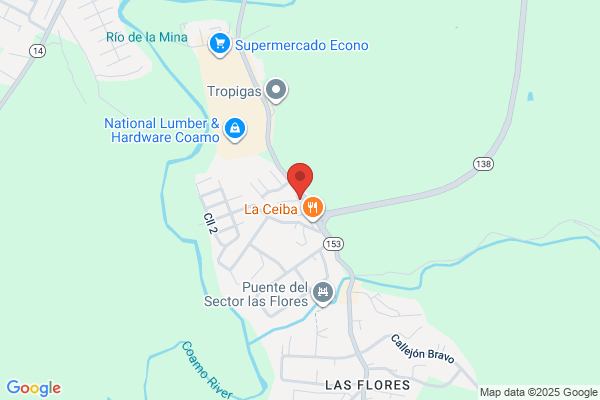 AMERICAN SUZUKY COAMO
