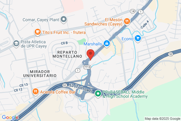 CAYEY AUTO MALL