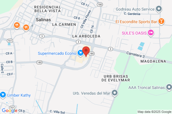 AUTO PIEZAS SALINAS INC