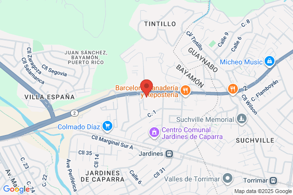 BAYAMON AUTO MALL