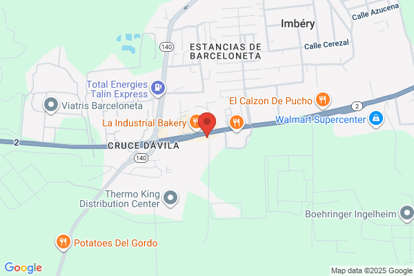 BORINQUEN AUTO PARTS