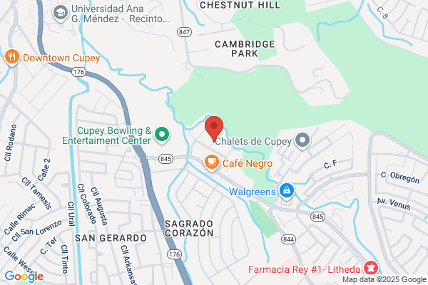 ABREU & JOE AUTO REPAIR