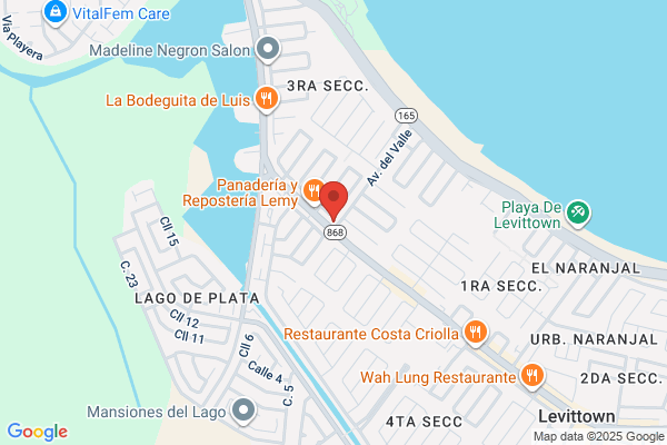 AUTO SERVICIO LEVITTOWN INC