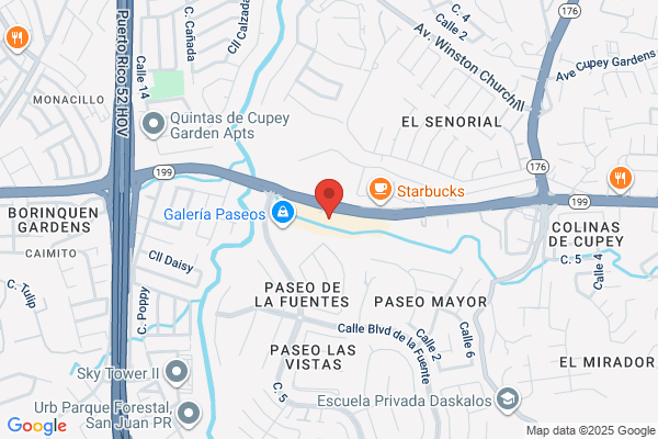 BADILLO F RIVERA