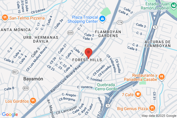 FOREST HILLS SHELL SVC STATION