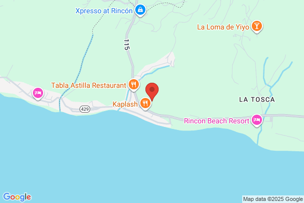ANTOJITOS BBQ