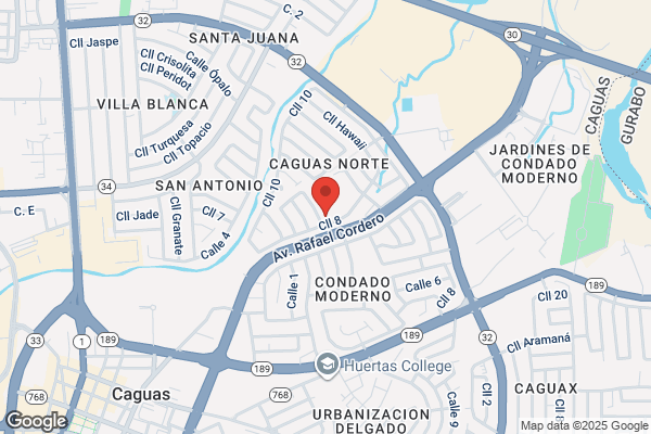 FUENTE DE AGUA VIVA DE CAGUAS