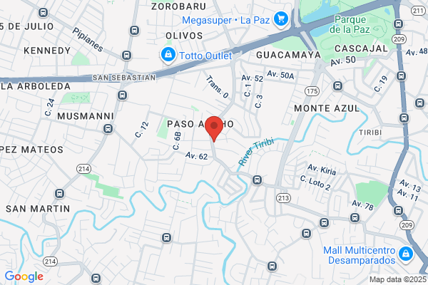 CARMEN L APONTE GARCIA GROCERY