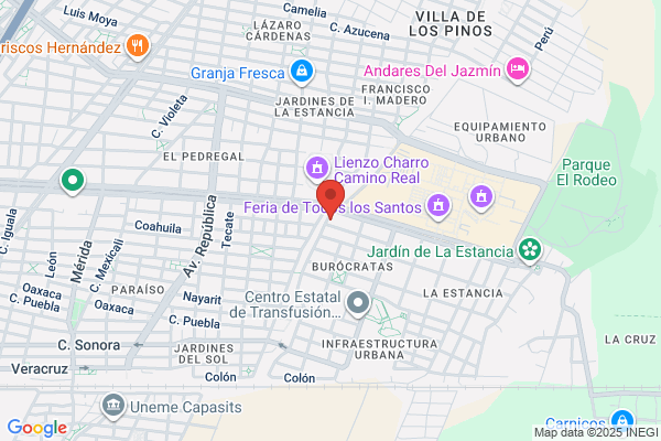 COLMADO & CARNICERIA LOS VIERA