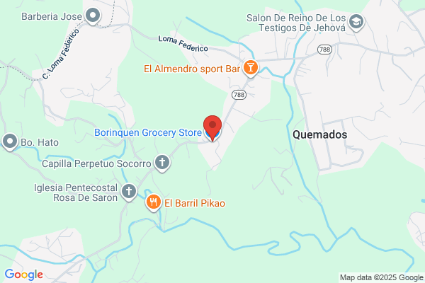 COLMADO CARNICERIA BORINQUEN