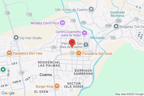 COAMO MAIL SVC