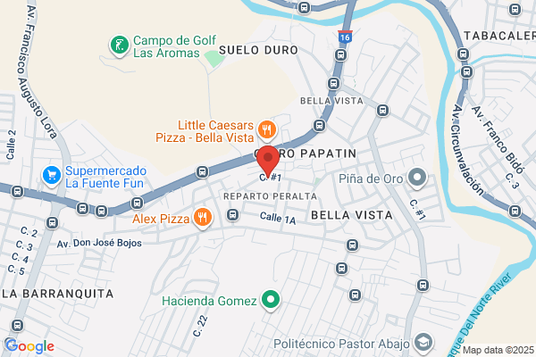 CARNICERIA REYES