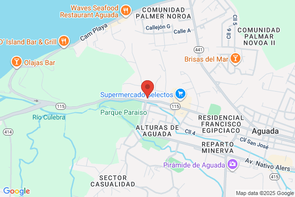 LA NUEVA BORINQUENA