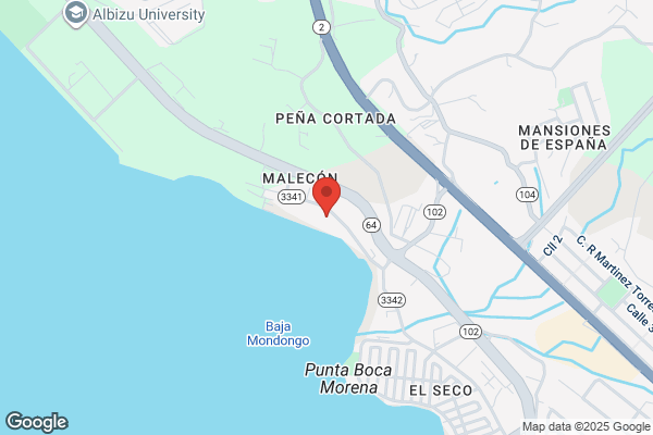 MAYAGUEZ OFFSHORE INC