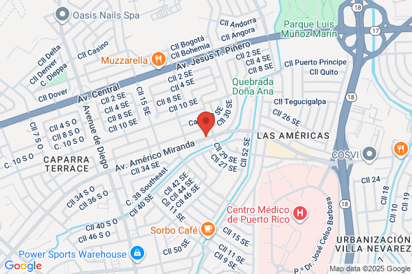 SERVICENTRO AUTOMOTRIZ INC