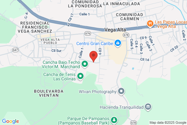 PINTORES DEL NORTE