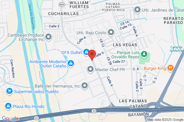 ALCON PUERTO RICO INC
