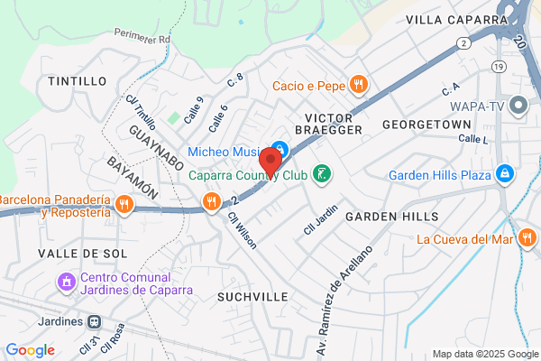 PHARMACIA & UPHJOHN CARIBE INC