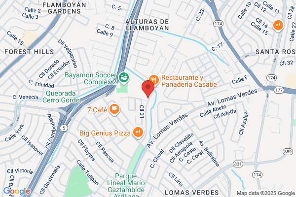 ANA CINTRON RODRIG MD