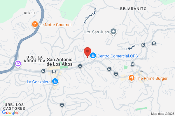 DESARROLLADORES SAN JUDAS INC