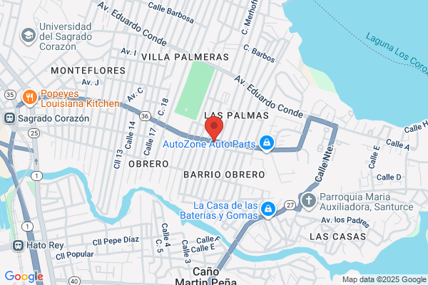 TELEMINE OF LATIN AMERICA INC