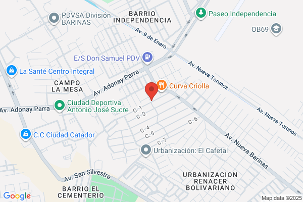 BARINAS RESTAURANT
